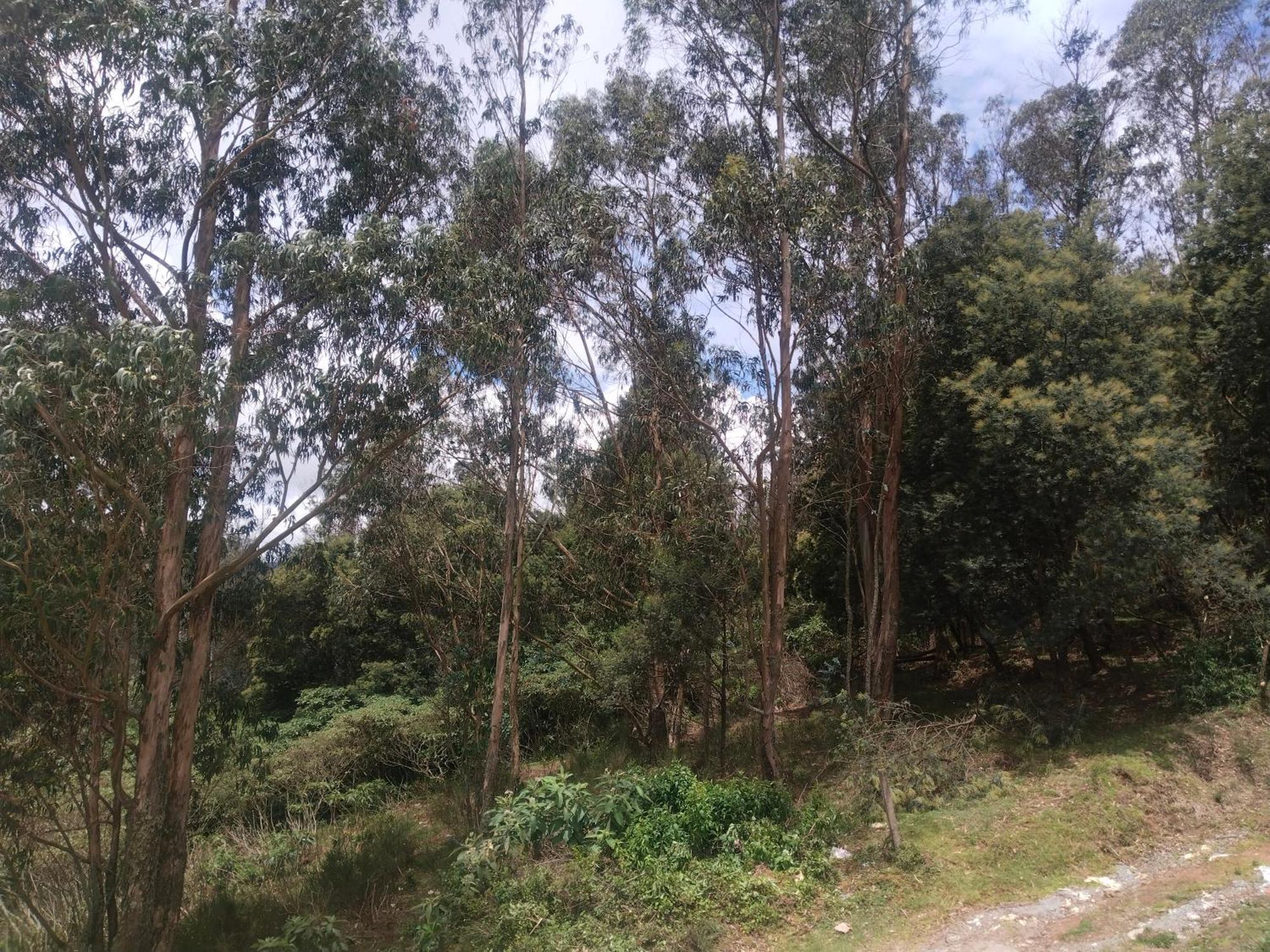 Bs Dreamz Ooty Appartement Buitenkant foto
