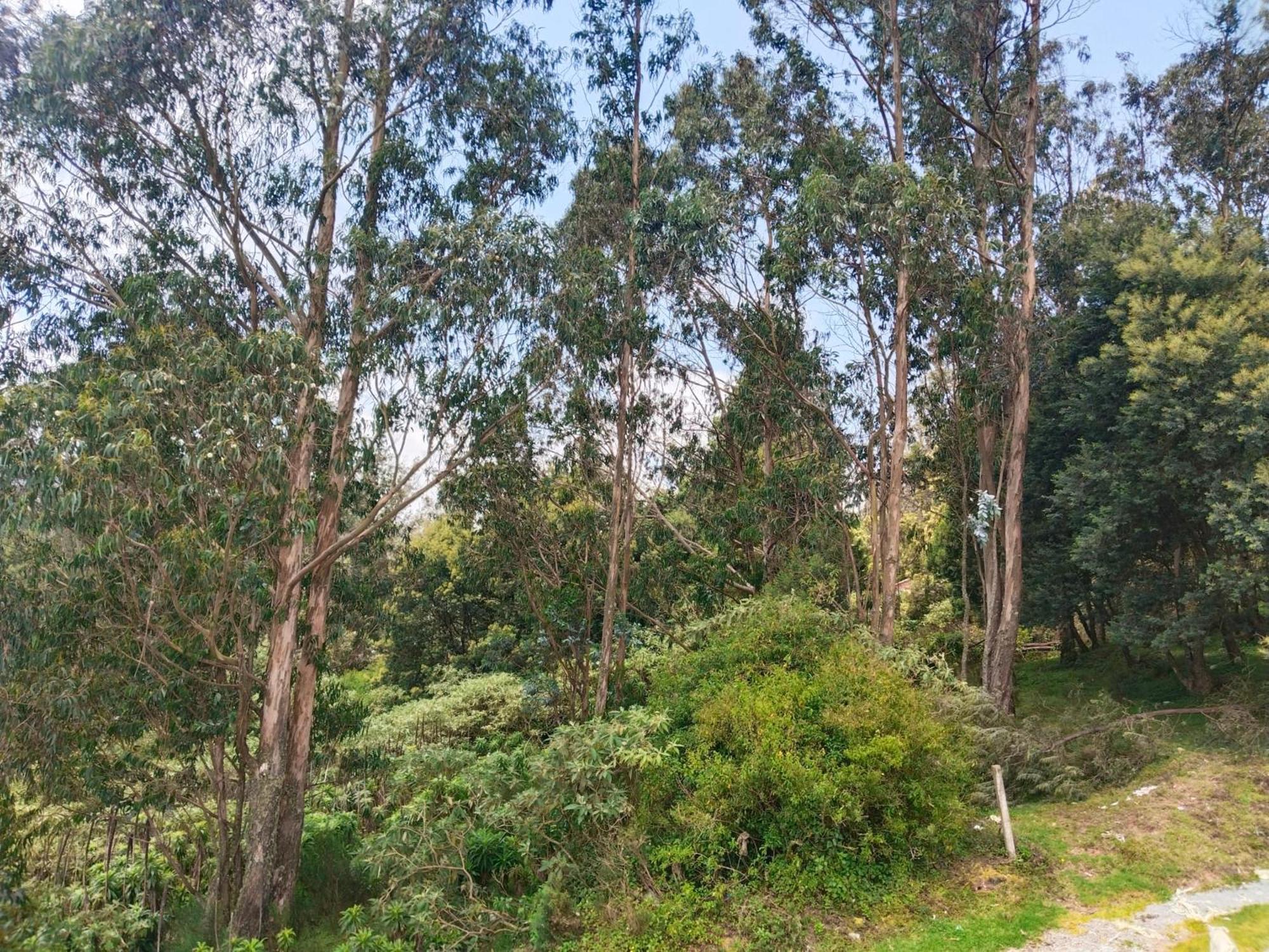 Bs Dreamz Ooty Appartement Buitenkant foto